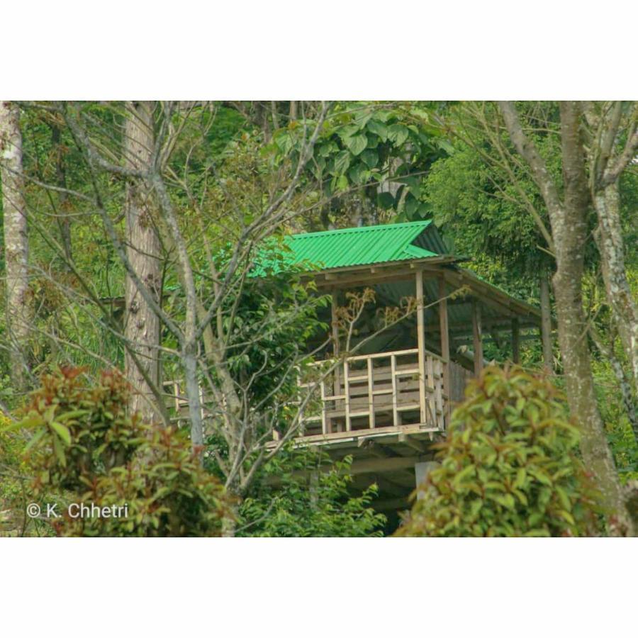 Suma Aavaas Farmstay Darjeeling  Exterior photo